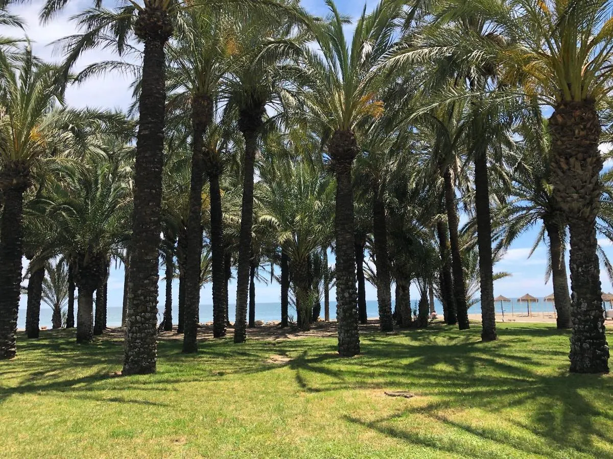 Carihuela Beach Apartment - Plaza Del Remo Torremolinos 0*,  Spain